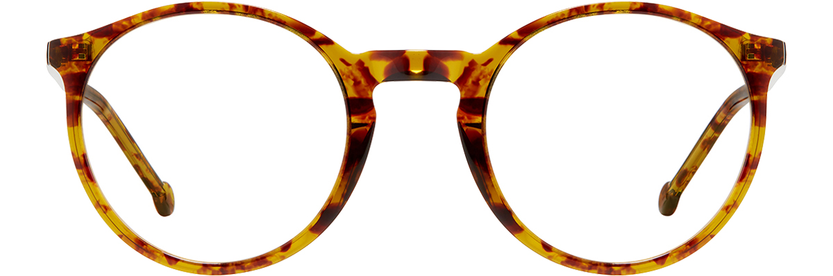 Ginza Tortoise