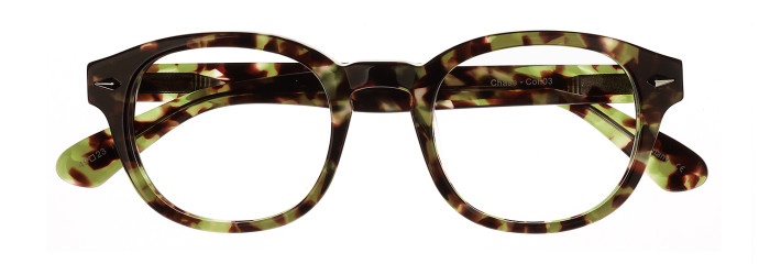 Olive Tortoise
