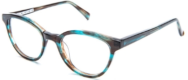 Aqua Tortoise