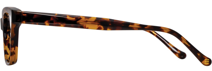 CIN-5186 / Tortoise