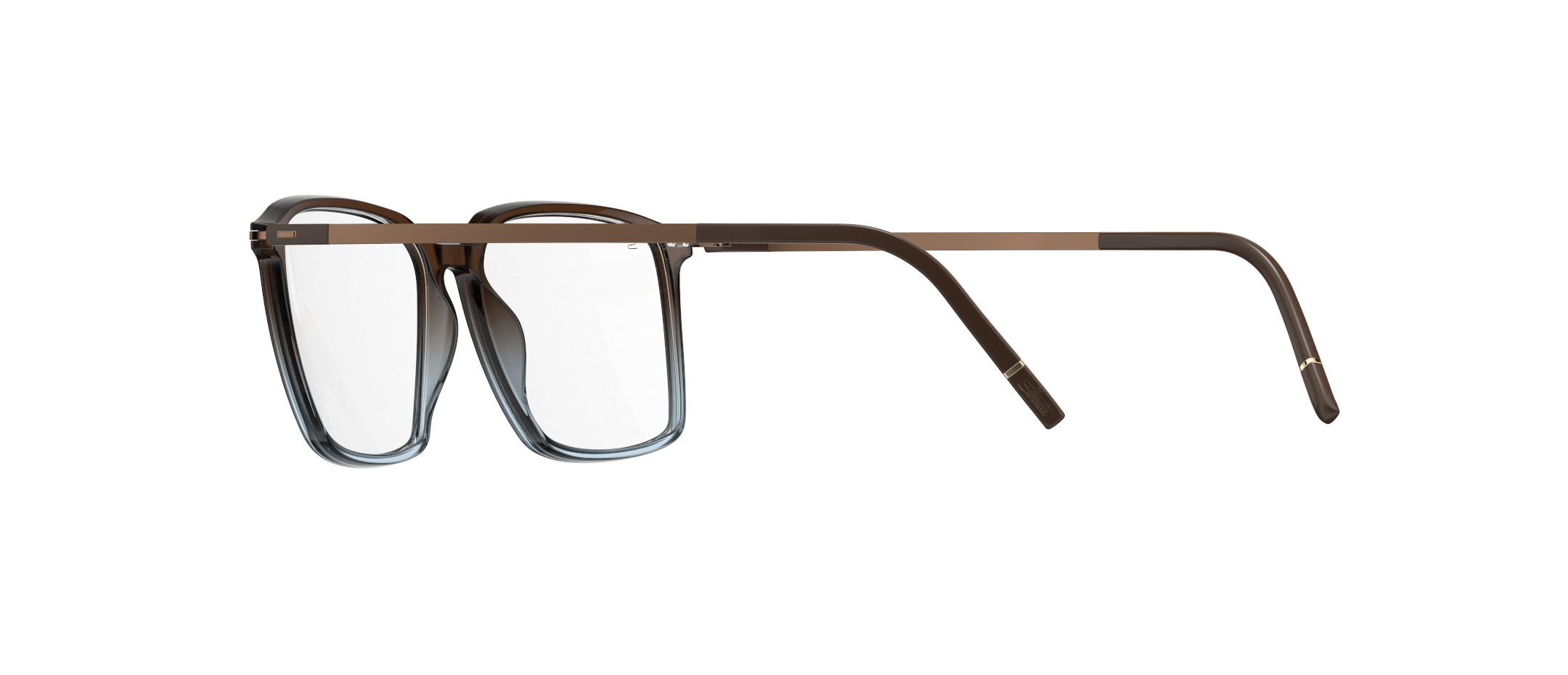 2991 / Chestnut Blue Gradient