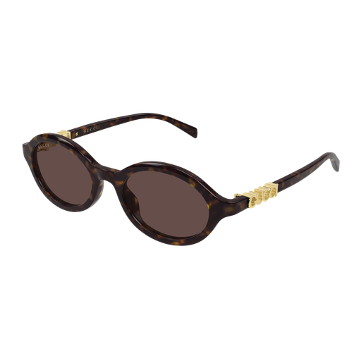 002 Havana-Havana Brown