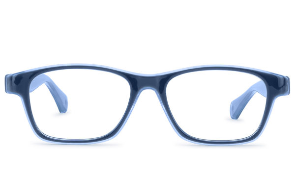PURPLE NAVY LIALC 10