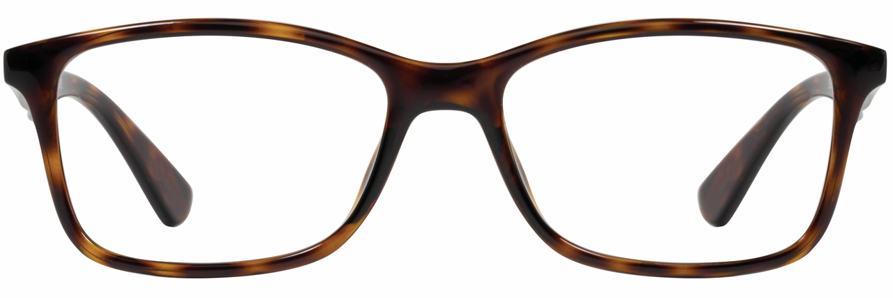 EL-360 / Tortoise Demi
