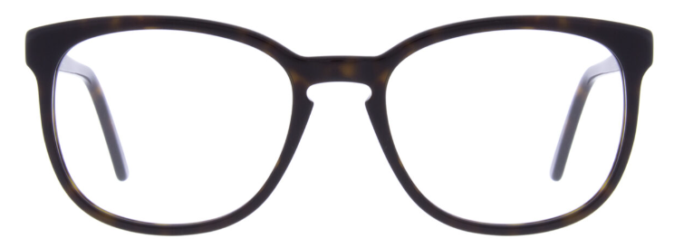 Dark Tortoise