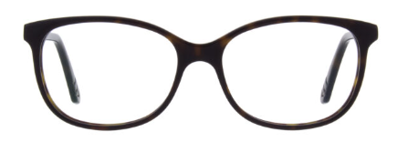 Dark Tortoise