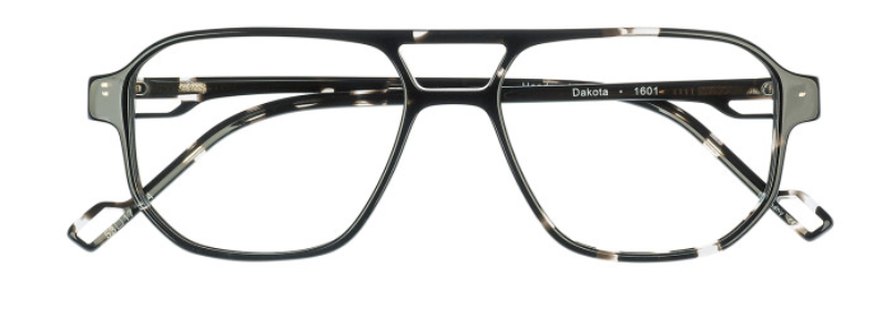 Black Tortoise