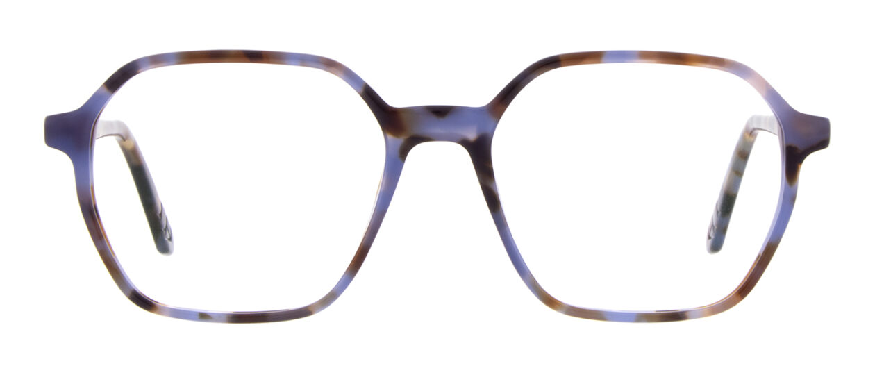 Periwinkle Tortoise