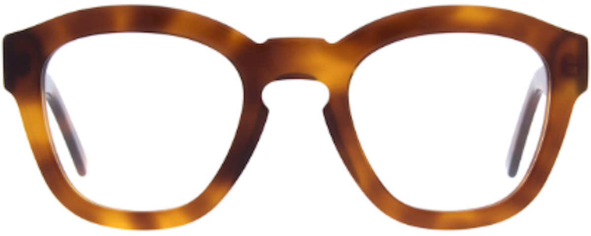 Amber Tortoise