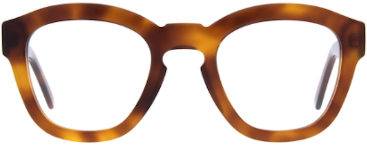 Amber Tortoise