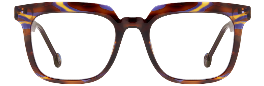 Topanga Tortoise