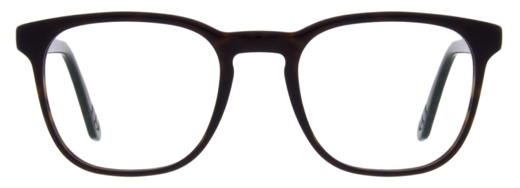 Dark Tortoise