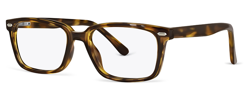 C2 Tortoise