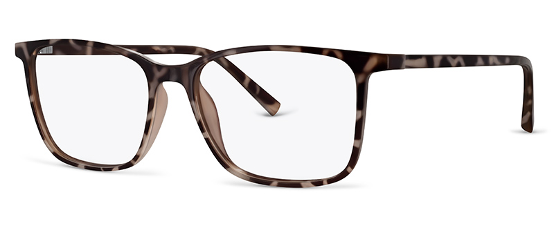C1 Tortoise