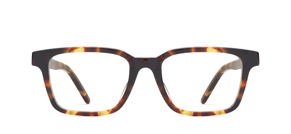 521 Tortoise