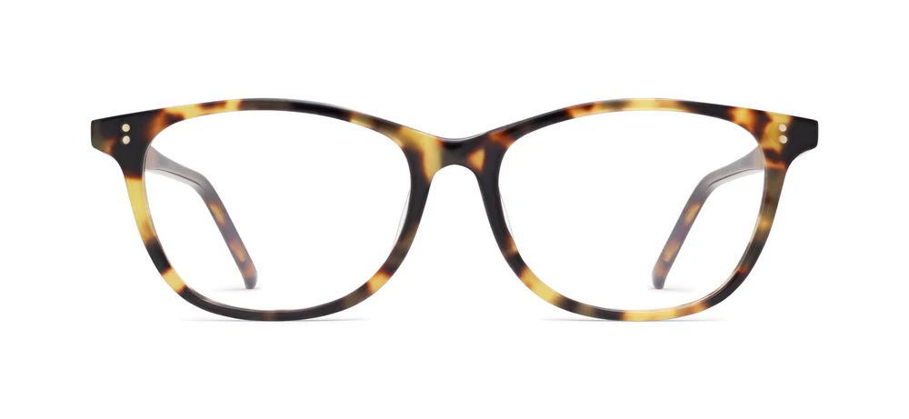 228 Tokyo Tortoise