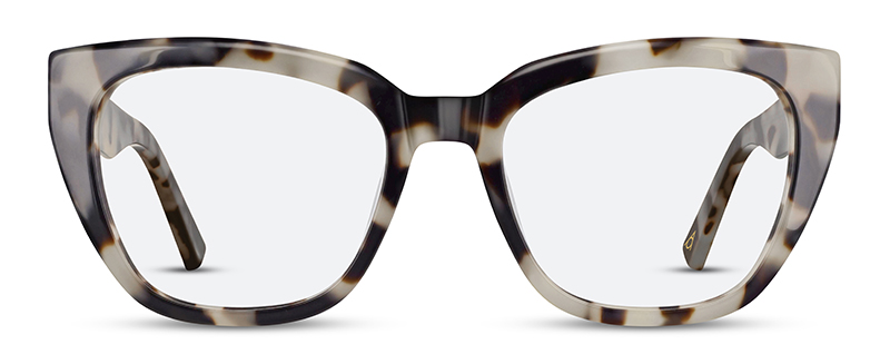 (C1) Polished Tortoise