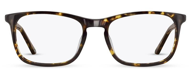 C2 Tortoise