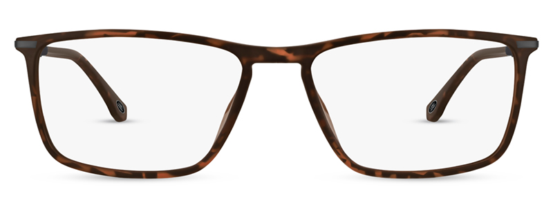 Tortoiseshell