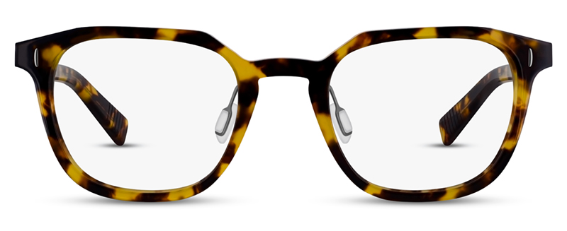 C2 Tortoiseshell