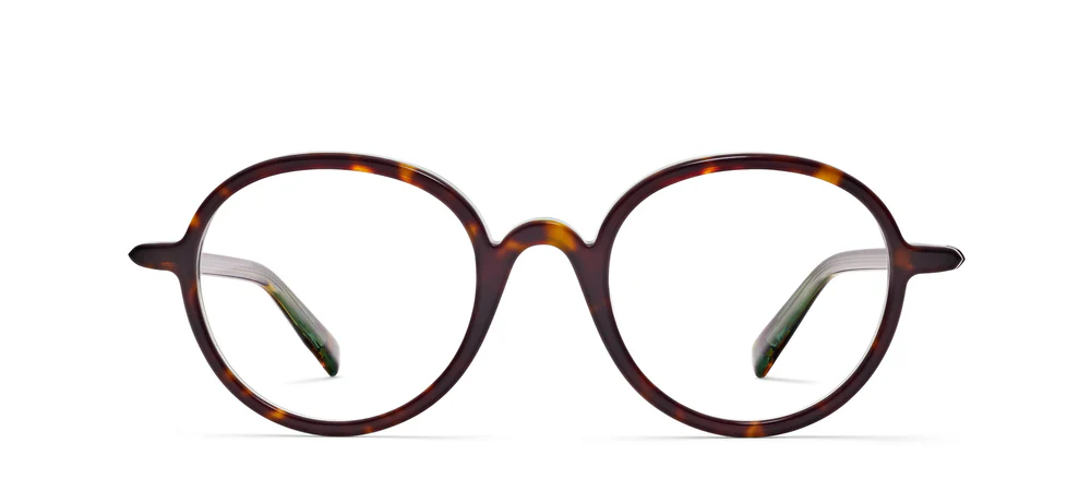 291 Tortoise