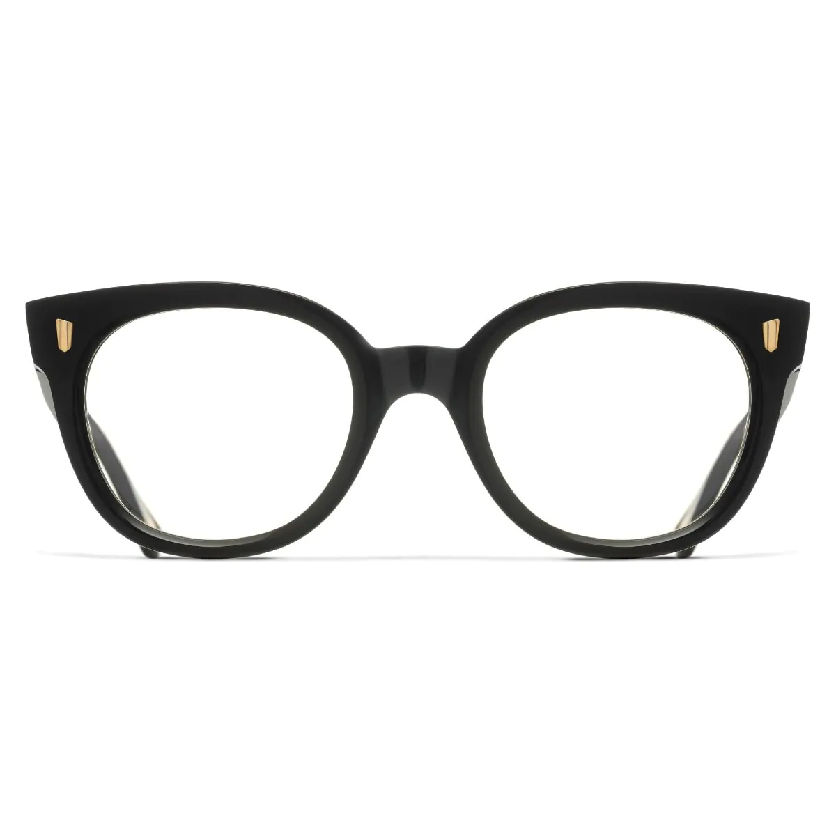 01 Black & Dark Turtle