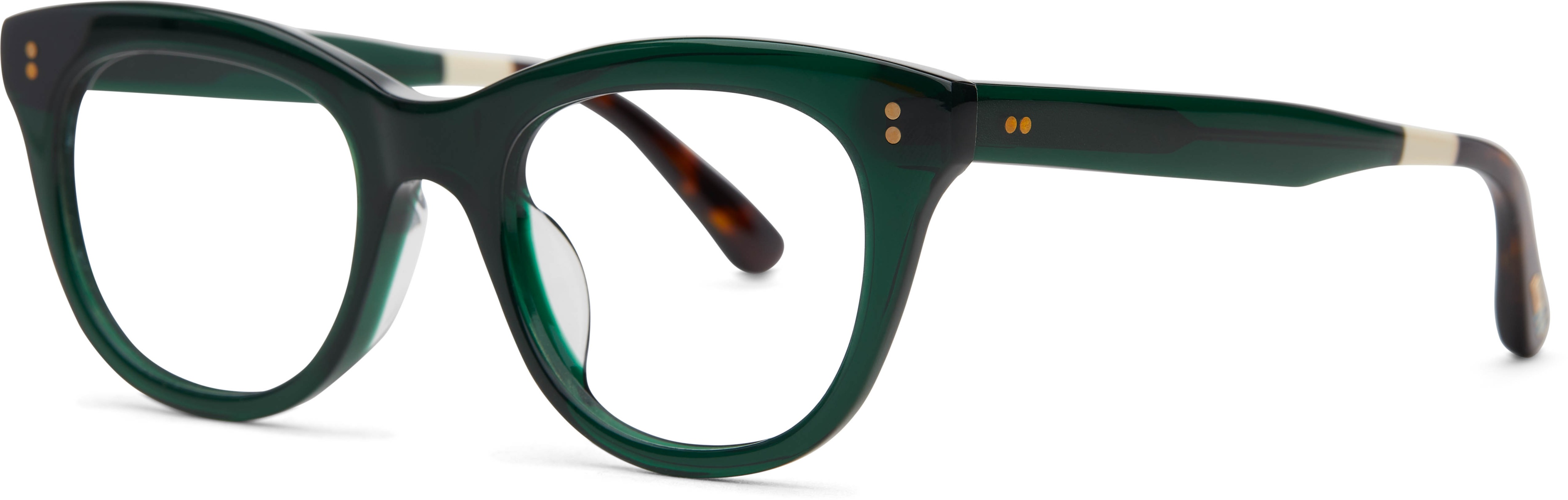 SEA MOSS/DARK TORTOISE