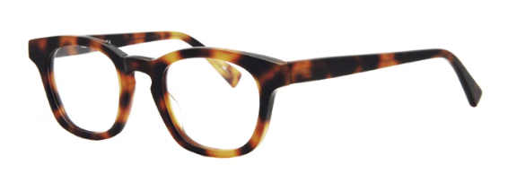 AR/Tortoise