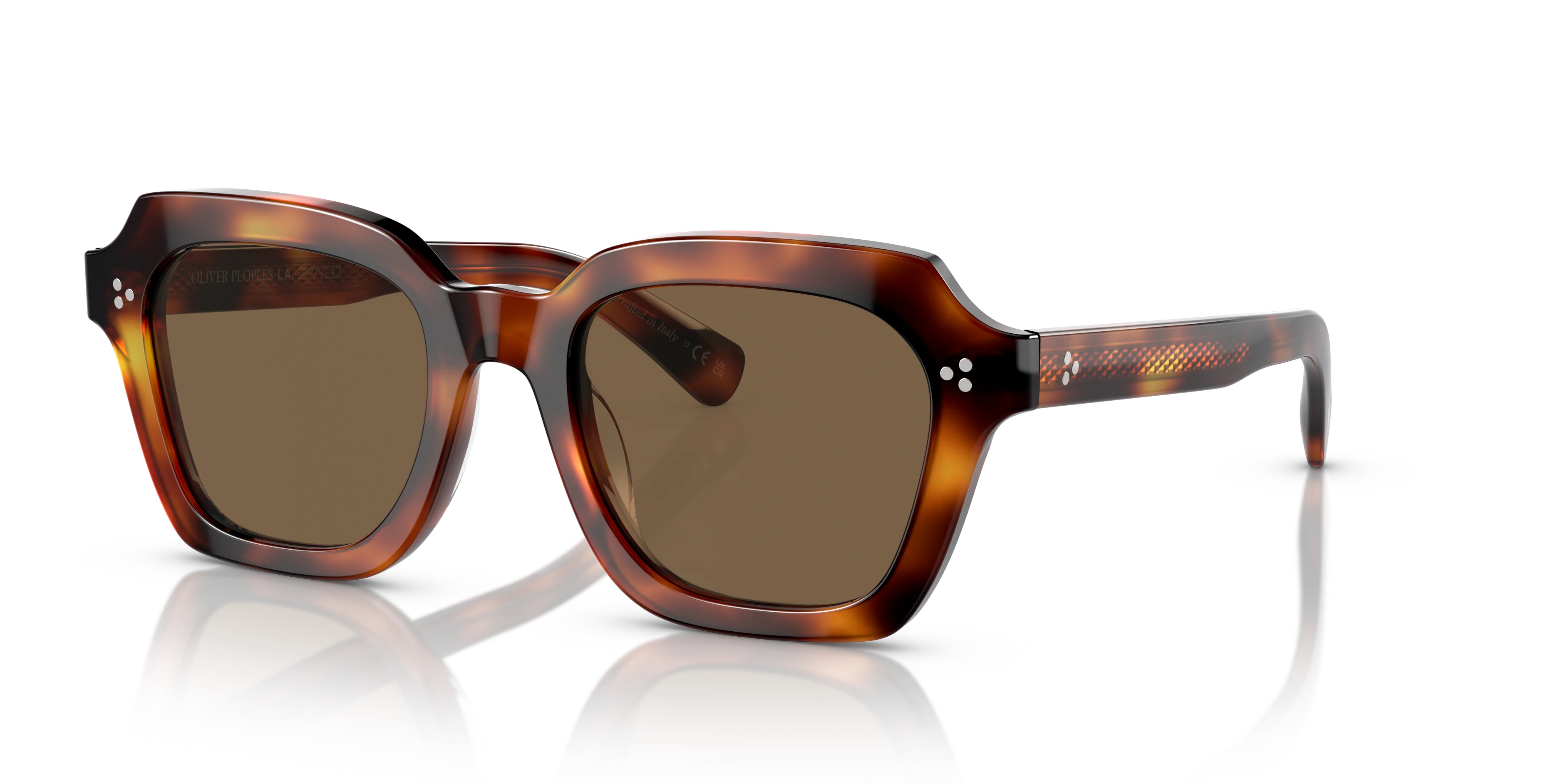 100773 Tortoise