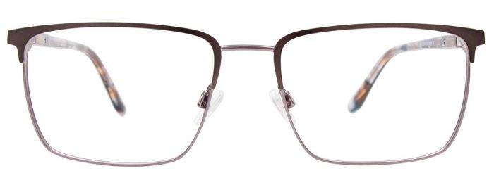 Dark Steel & Steel / Tortoise