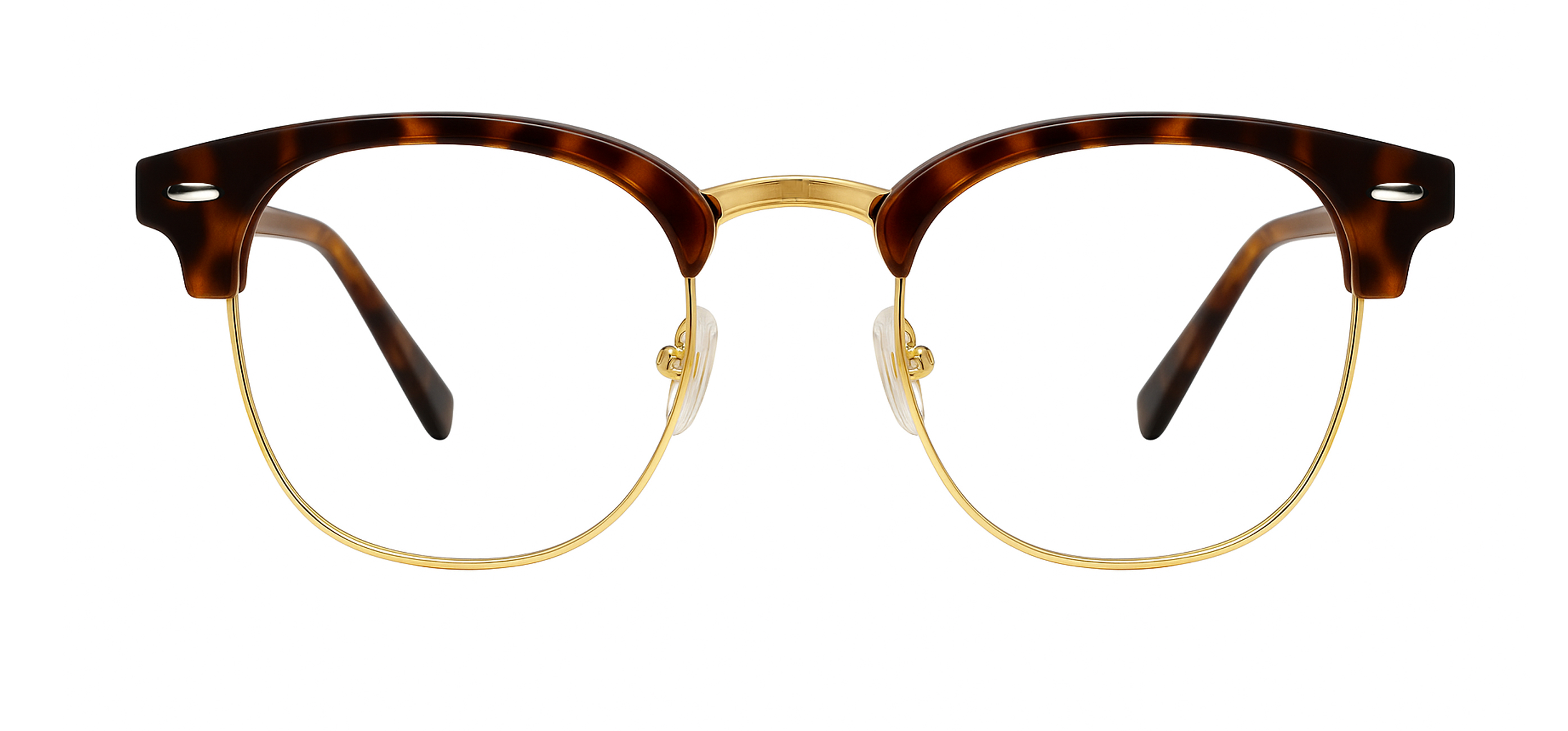 Gold Tortoise