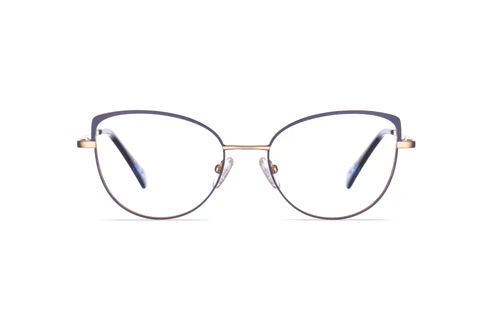 C3 NAVY/GOLD