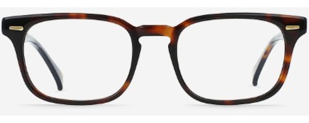 kola tortoise