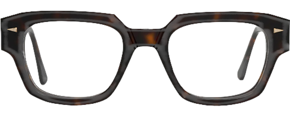 DARK TURTLE