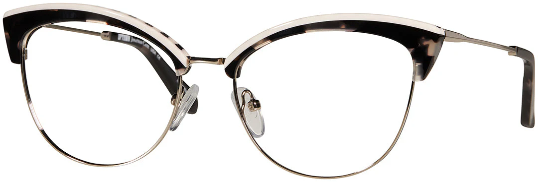 Black Tortoise and silver frame