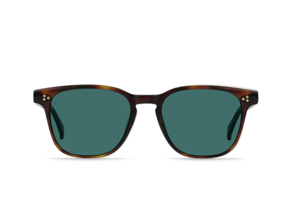 Alvez / kola tortoise
