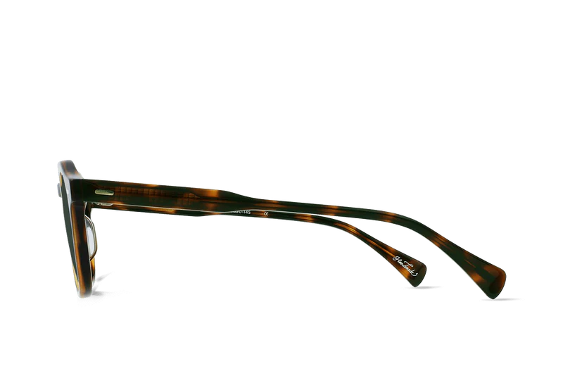 Clyve / Espresso Tortoise/ Green Polarized