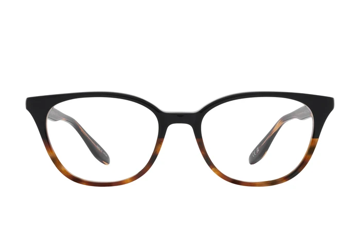 Raven Tortoise Gradient