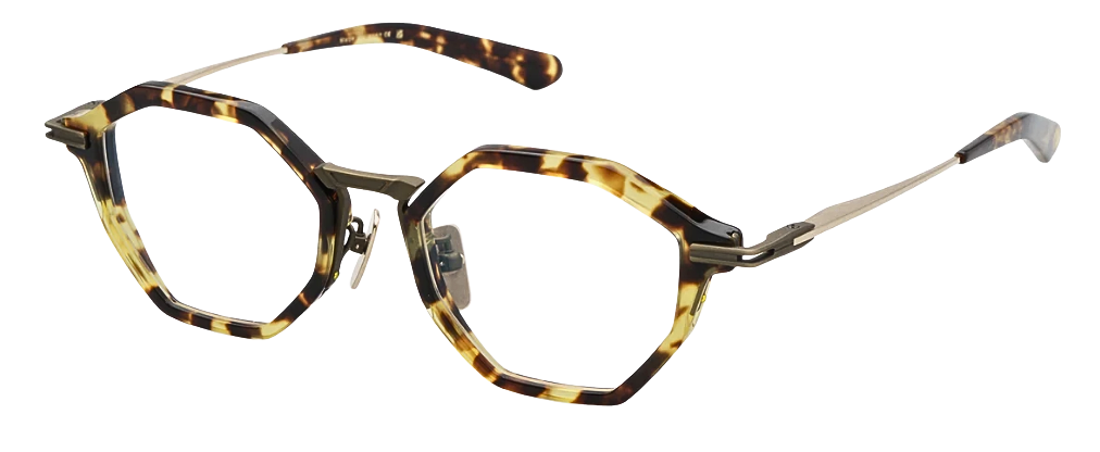 Tokyo Tortoise