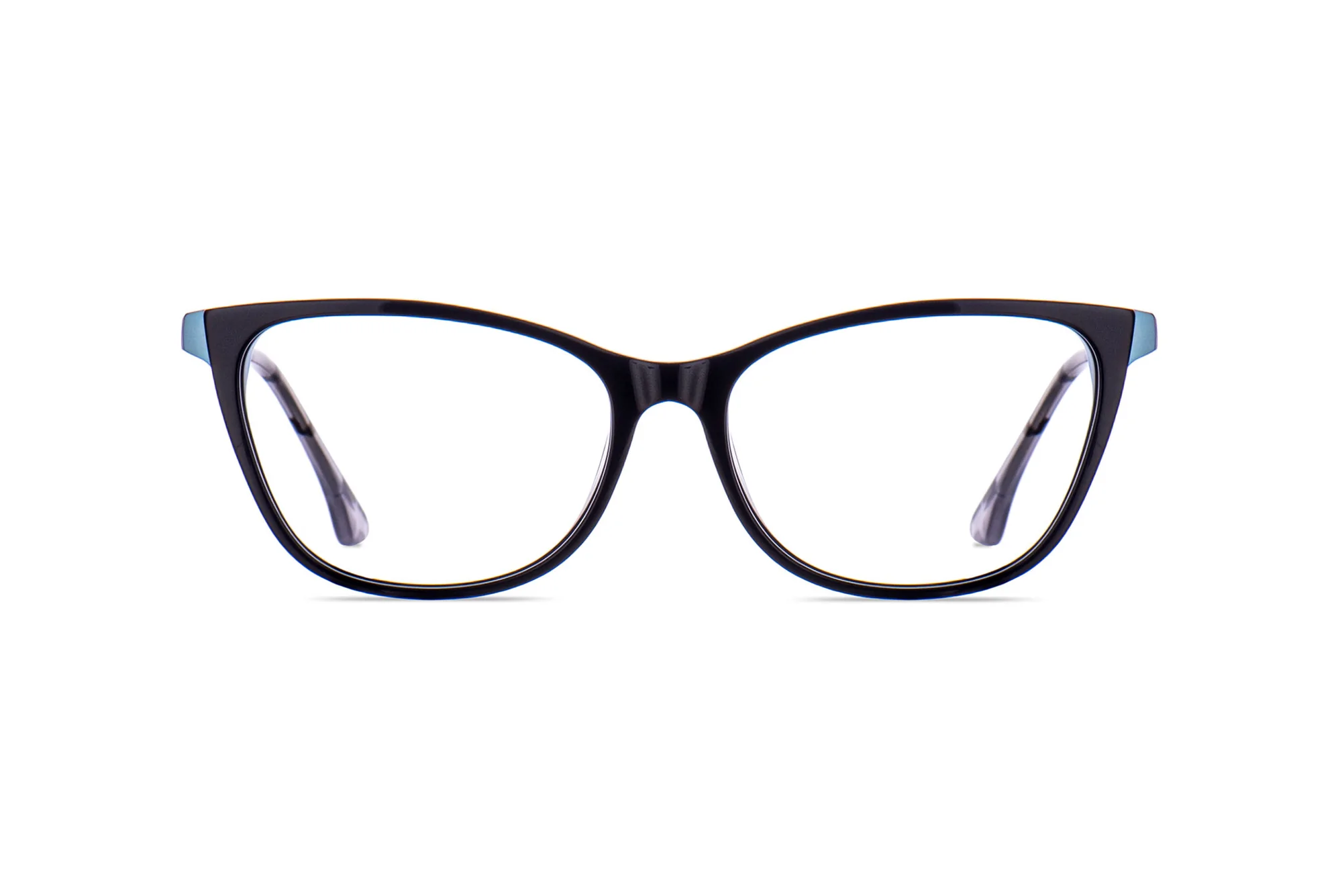 BLACK TORTOISE