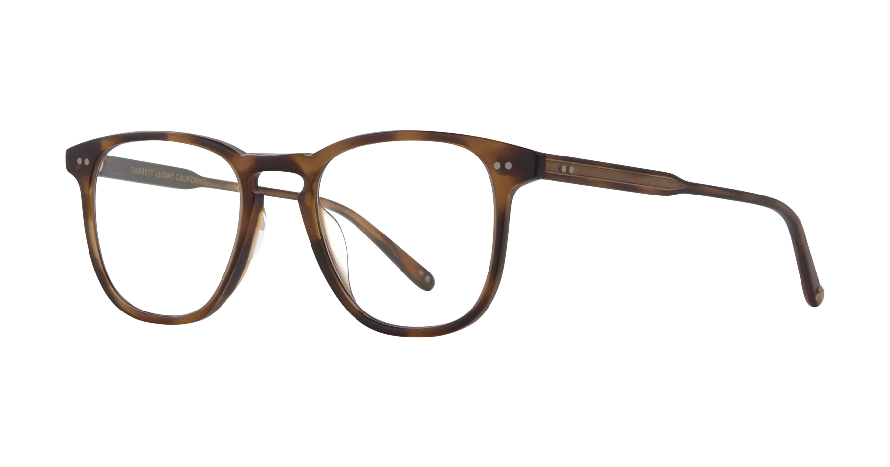 SPOTTED BROWN SHELL (SPBRNSH)