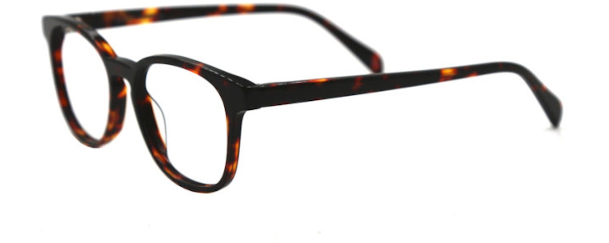 TORTOISE C2