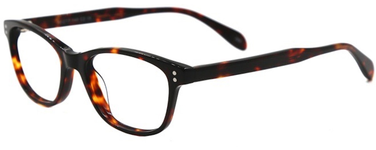 TORTOISE C2