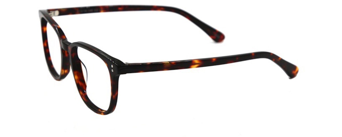 TORTOISE C2