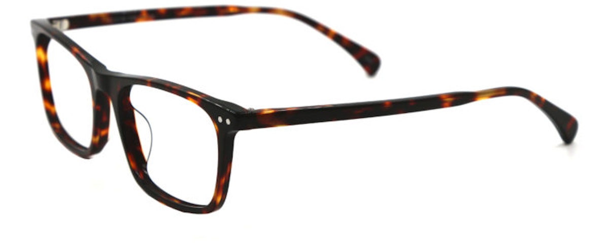 TORTOISE C1