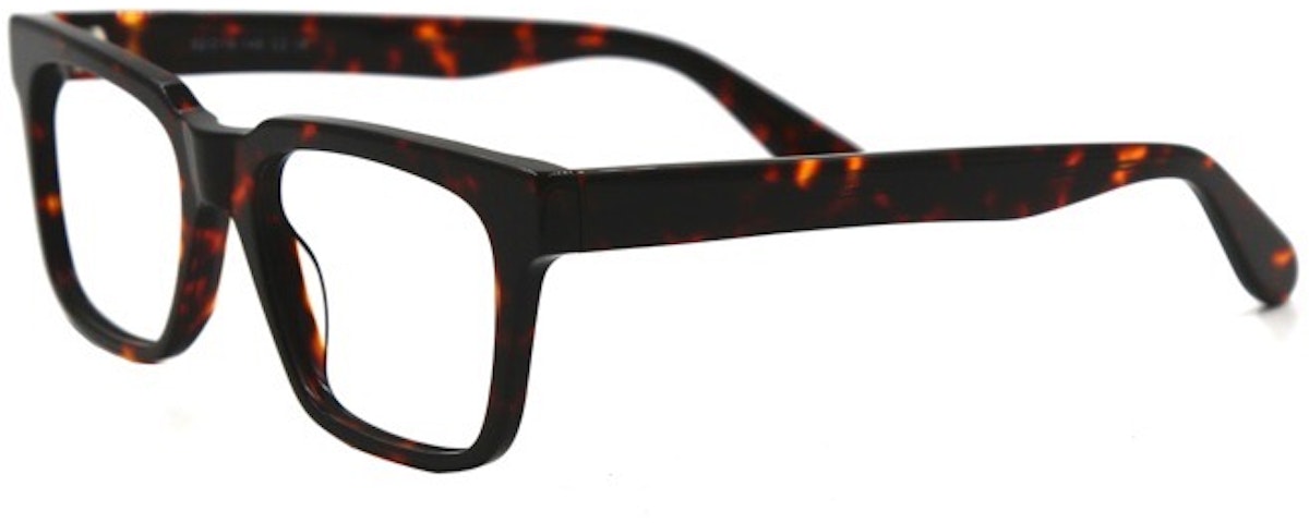 TORTOISE C2