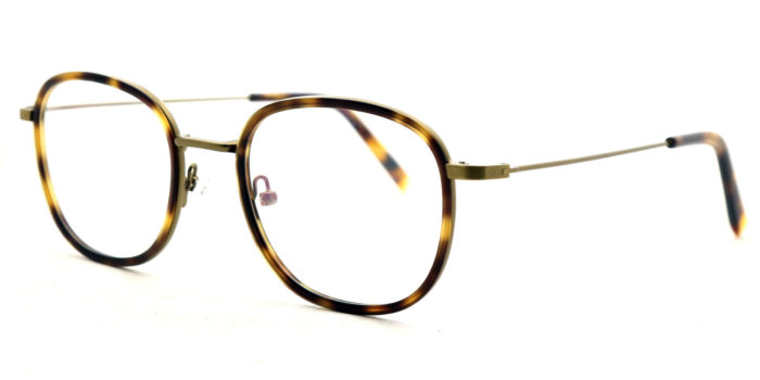 ANTIQUE TORTOISE C2