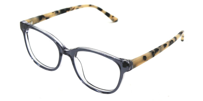 GRAY TORTOISE C1