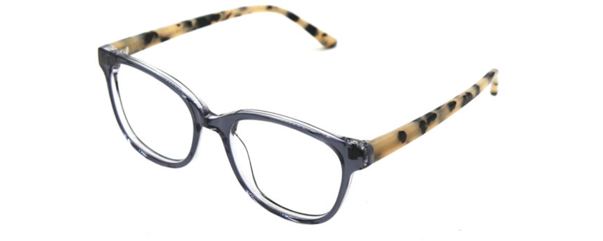 GRAY TORTOISE C1