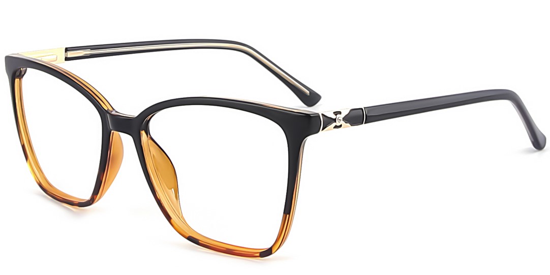 Black/Brown C3